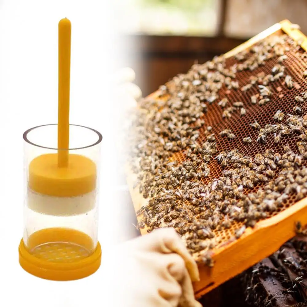 

Bee Marking Plunger Transparent Reusable PP Queen Bee Marking Cage for Bee Keeper