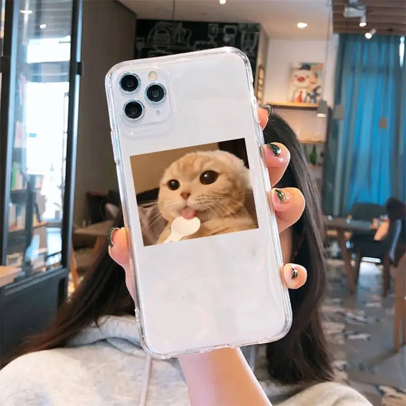 

Cute Cat article art funny lovely Phone Case Transparent soft For iphone 5 6 7 8 11 12 s c se plus mini x xs xr pro max