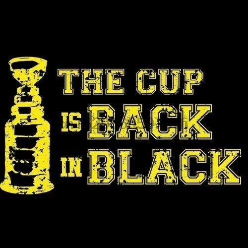 The Cup is Back In Black T-shirt Boston Stanley Bruins Hockey | Мужская одежда