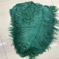 50pcslot quality dark green ostrich feathers for crafts 60 65cm24 26inches dancers diy party wedding jewelry plumes