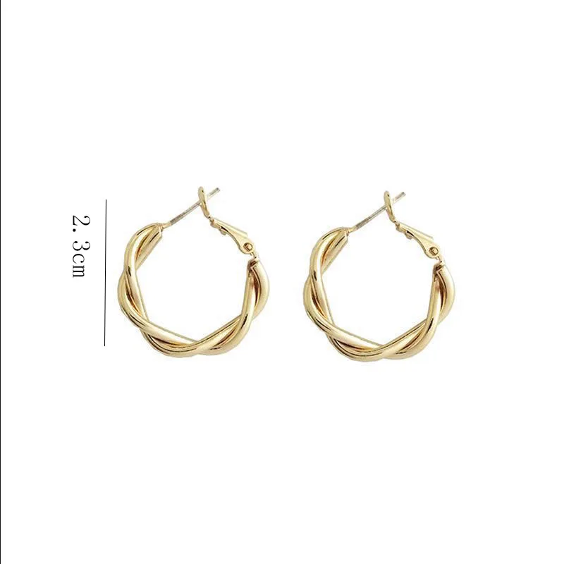 

Gold Silver Color Metal Twisted Hoop Earrings for Women Small Simple Round Circle Earring Ear Ring Steampunk Accessories Jewelry