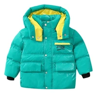 childrens padded and thickened cotton padded jacket for children in winte plus fur warm toddler girls warm hooded coat outwear