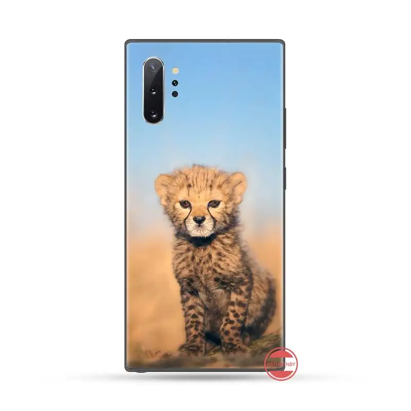 

cheetah Phone Case For Samsung galaxy S 7 8 9 10 20 edge A 6 10 20 30 50 51 70 note 10 plus