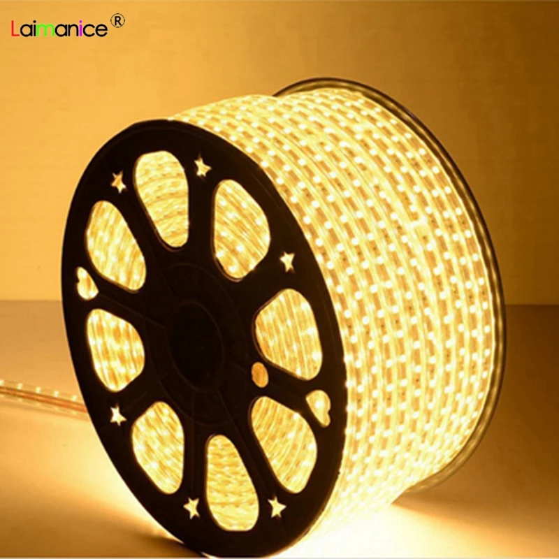 1 м 100 SMD 5050 AC220V Светодиодная лента водонепроницаемая гибкая светодиодная 60