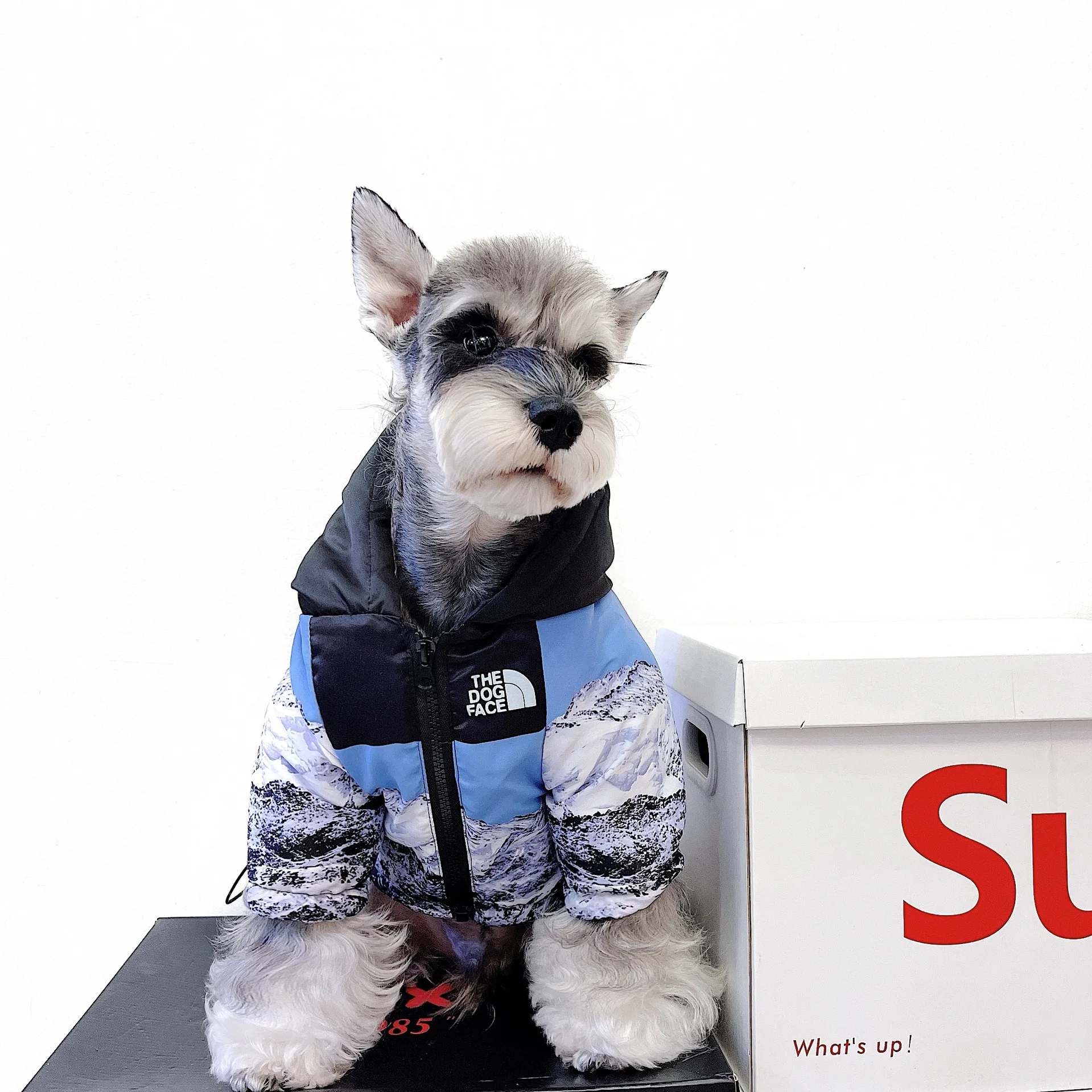 

Fashion Winter French Bulldog Snow Mountain Warm Down Jacket for Pug Outfit Pet Dog Clothes for Small Dogs Clothing PC1681