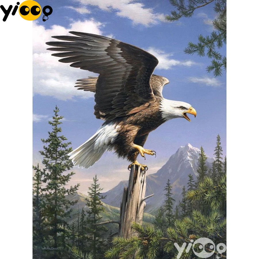 

Алмазная вышивка «Акулий Орлан», квадратная/круглая вышивка крестиком, мозаика для домашнего декора, подарок AX2861