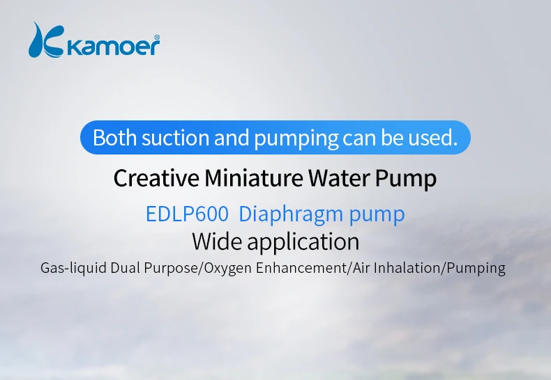 Kamoer мембранный насос EDLP600