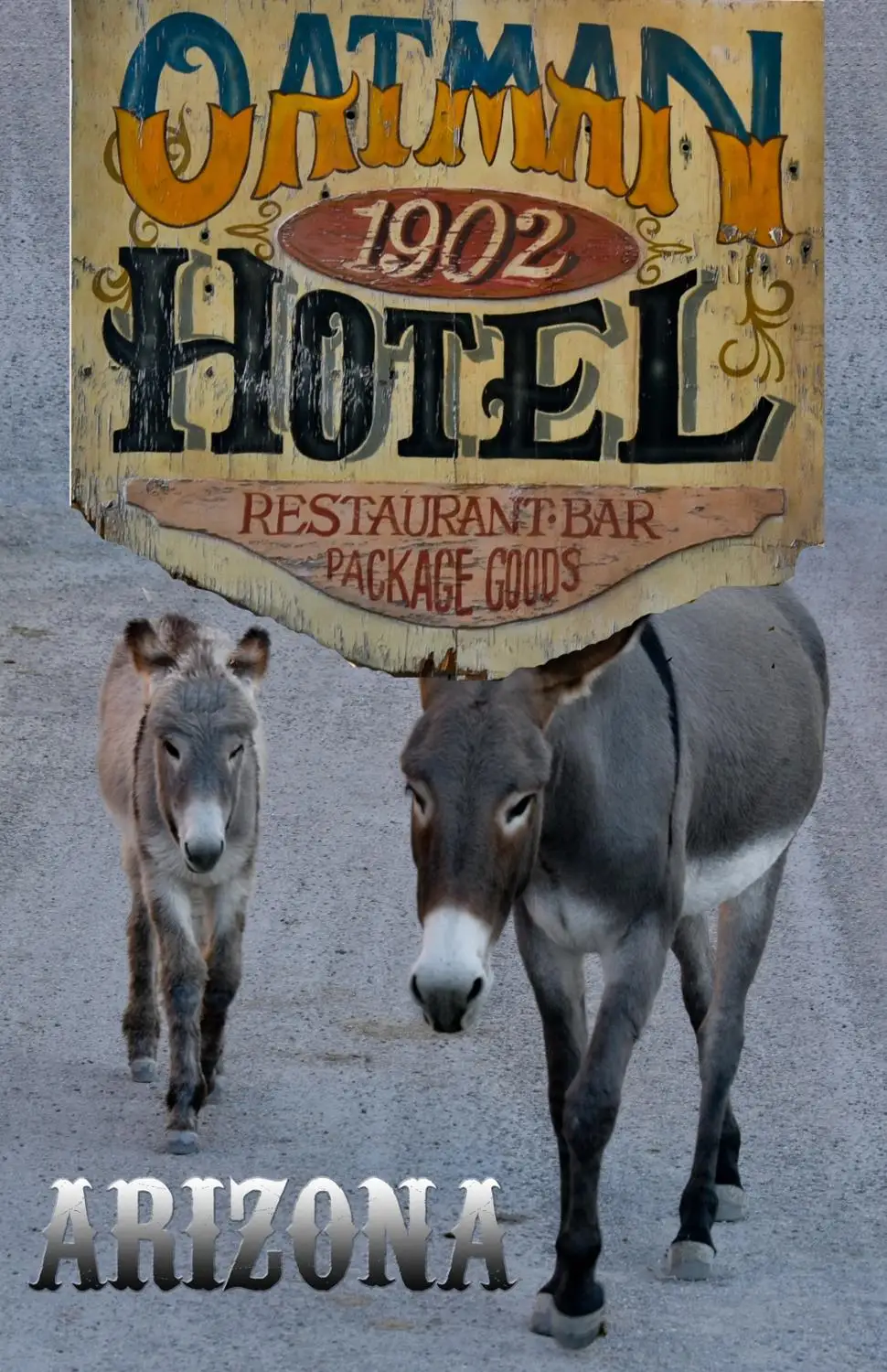 

400X300MM oatman-arizona-travel-poster jumbo fridge magnet SFM-0541
