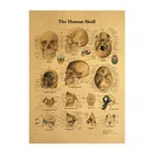 Иллюстрация человеческого тела-Череп Ретро плакат с крафт-бумагой украшение для классной комнаты картина в музее