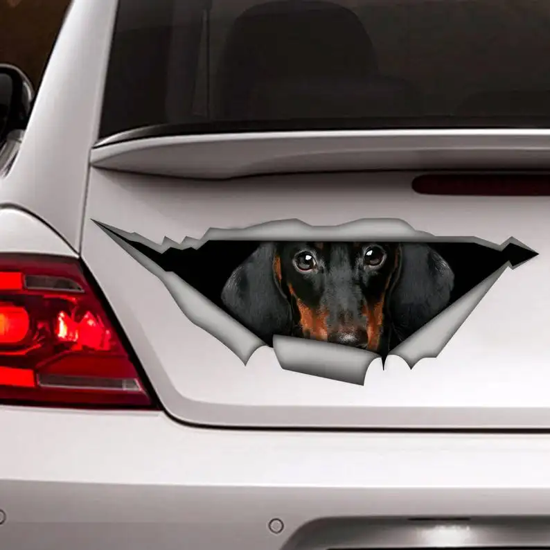 

Dachshund decal, dog car decal, Vinyl decal, car decoration, Dachshund sticker, pet decal