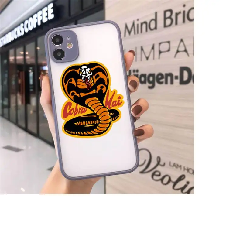 

cobra kai snake 2 Phone Case For iPhone 12 11 Mini Pro XR XS Max 7 8 Plus X Matte transparent Gray Back Cover