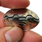 Волшебные монеты и бумажные деньги, восстановленная иллюзия, монета для магического шоу, Укушенная монета, монета с половиной доллара, Волшебная монета, Прямая поставка