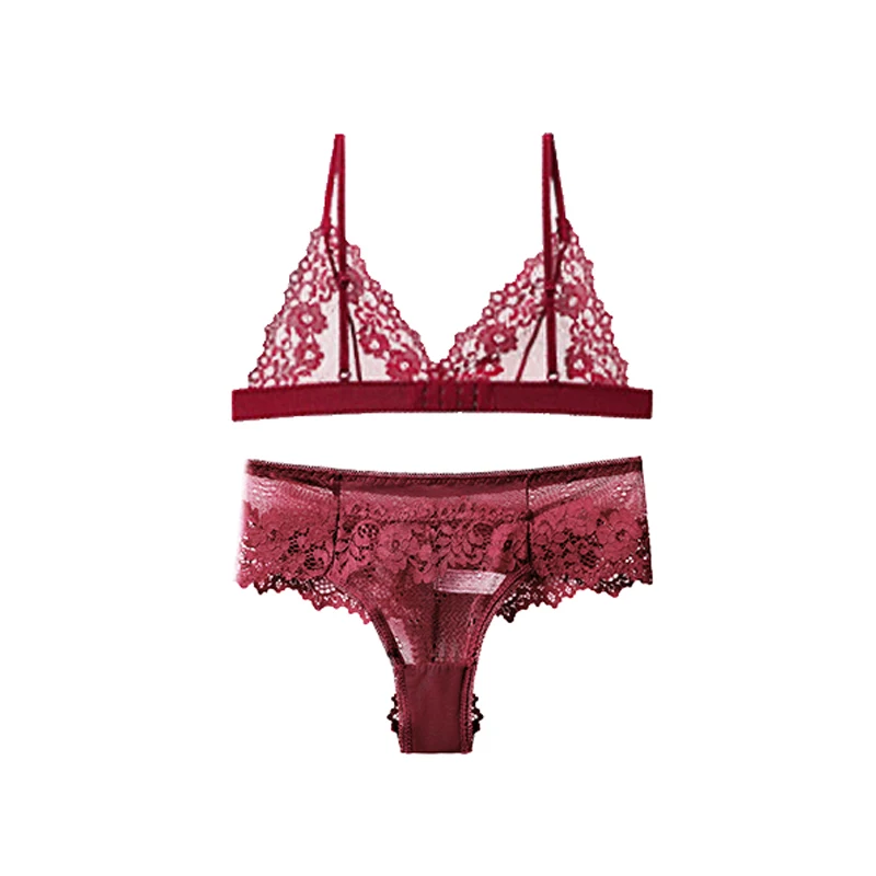 1 Set Woman Sexy Lingerie Lace Bra Thongs Set Woman Underwear Bralette Push Up Tube Tops Bras Panties Suit For Lady BANNIROU