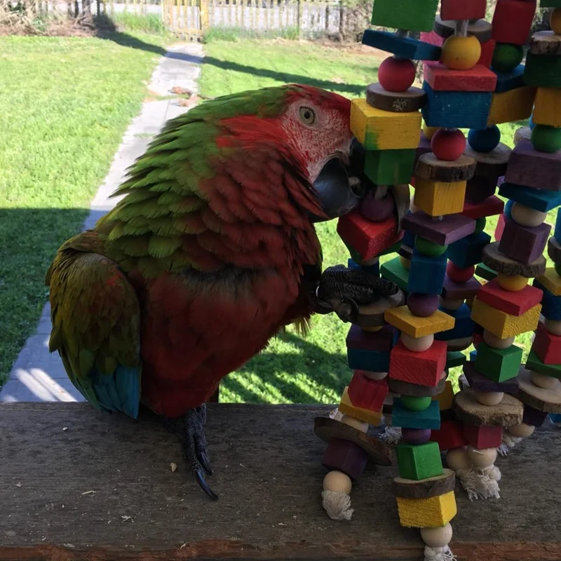 

Large Bird Parrot Chewing Toy Multicolored Wooden Blocks Bird Tearing Toys Suggested for Macaws Cokatoos