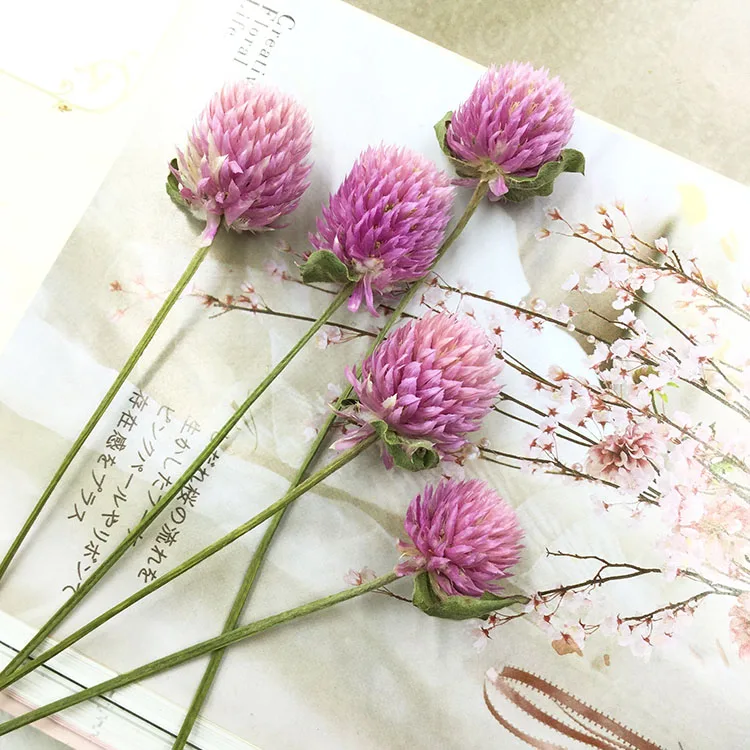 

Preserved Fresh Flower Accessories Qianrihong DIY Handmade Aromatherapy Wax Garland Material Package Floating Flower Accessories