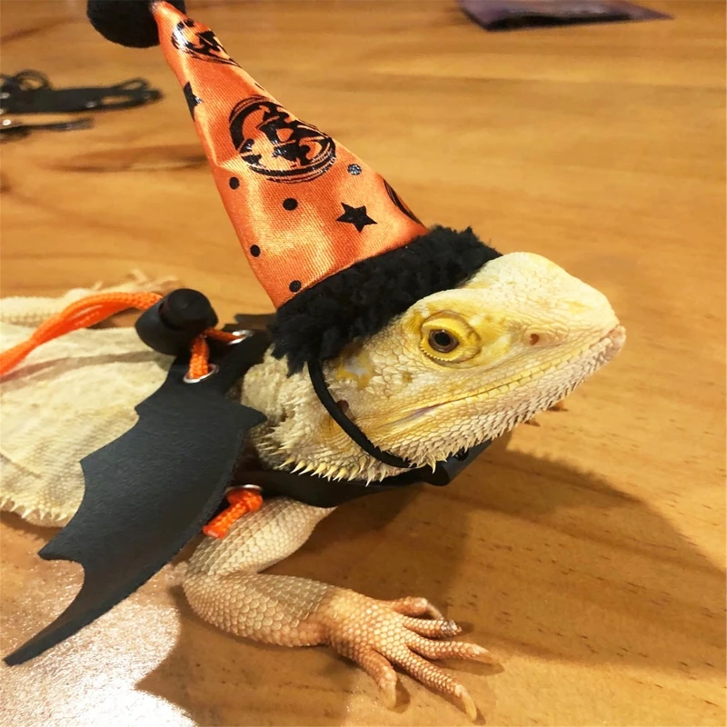 

27RE поводок с медвежьим драконом, регулируемый поводок для Хэллоуина, 3 размера, поводок для рептилий с крылом для маленьких животных