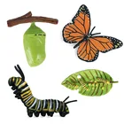 Лидер продаж, новая модель насекомых, животных, моделирование цикла роста бабочек, фигурки героев, миниатюрные Обучающие милые игрушки для детей