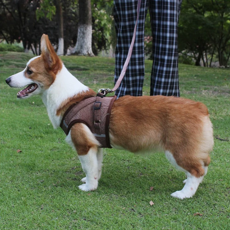 Комплект из ветрозащитного жилета и поводка для собак вельветовый дышащий