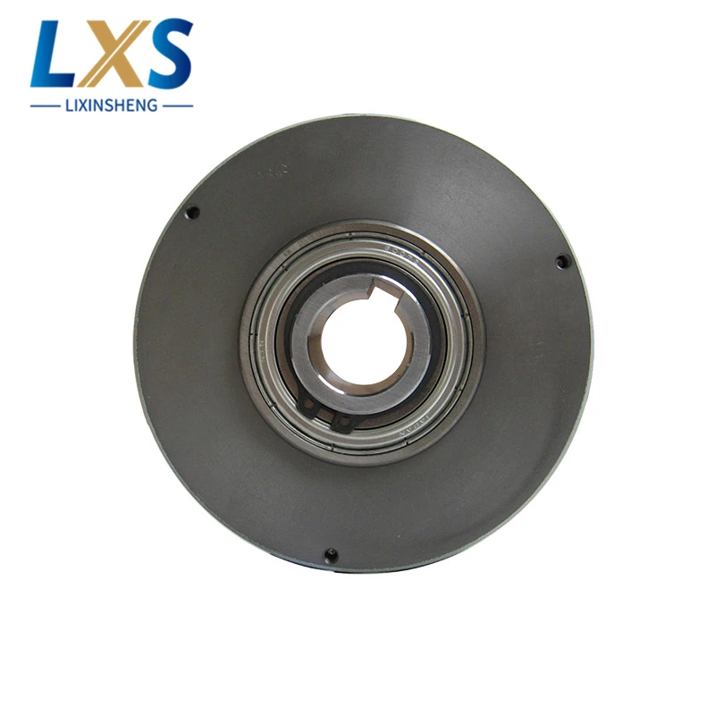 100% Япония Оригинал 12 (Н. М)/2 3 кг порошок магнитный тормозной ZX 1.2YN