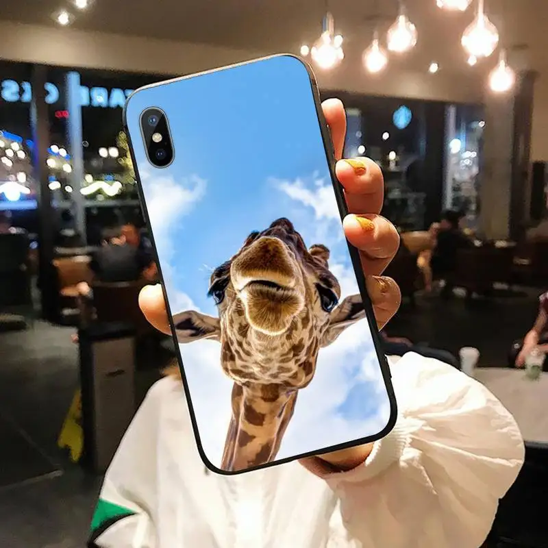 

Cute animal Zebra Giraffe Phone Case for iPhone 11 12 pro XS MAX 8 7 6 6S Plus X 5S SE 2020 XR