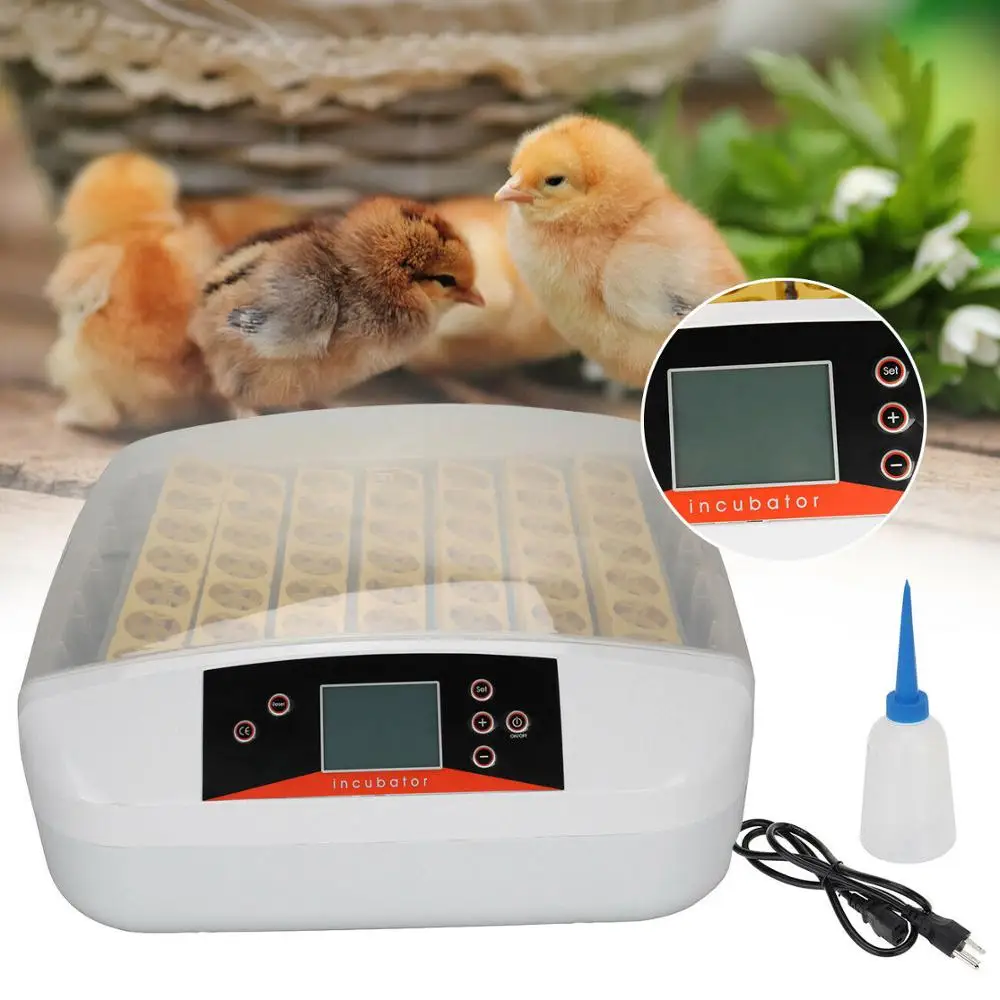 Новейший 56 яиц инкубатор контроль температуры Цифровая автоматическая курочка