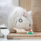 Питательный гель для кошек и кошачьей мяты, энергетический шар, здоровые закуски для домашних животных, фиксированное питание для кошек, конфеты для кошек, закуска, мяч, игрушки для кошек, аксессуары для домашних животных
