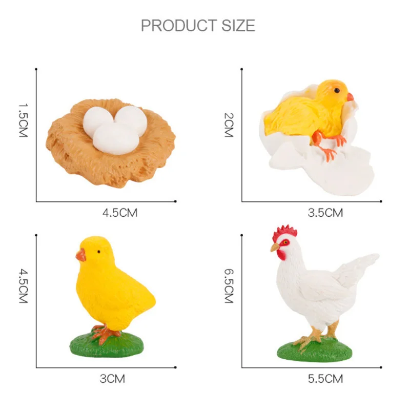 

Plant Animals Growth Cycle Models Bean Insect Frog Butterfly Action Figurine Science Educational Toys For Children Figure Gift