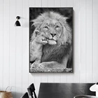 Картина с изображением Африканского дикого льва, настенные картины, художественные плакаты и принты, черно-белых животных