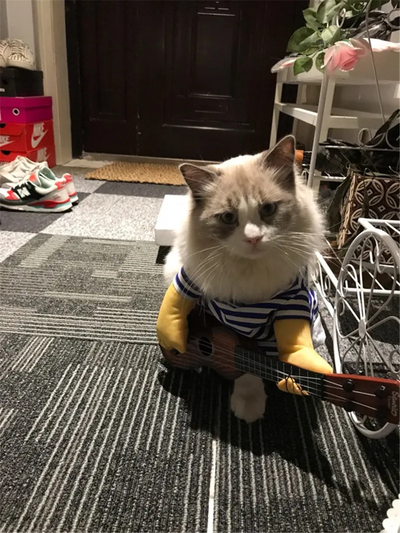 Одежда для кошек смешной костюм косплея на Хэллоуин Рождество праздник комичные