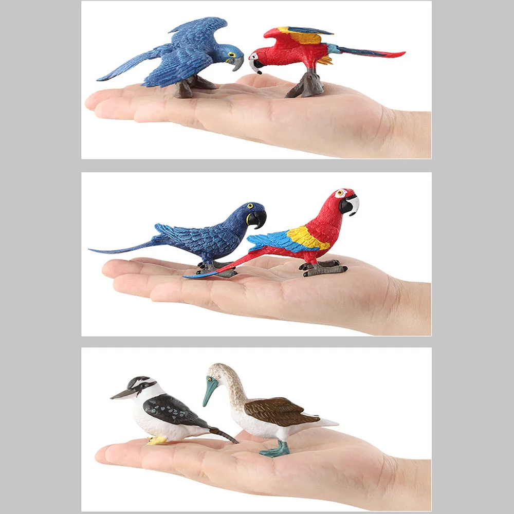 

Hot Early Childhood Education Cognitive Toys Simulation Bird Animal Parrot Model Suit Garden Desktop Decoration Puzzle Gift Kids