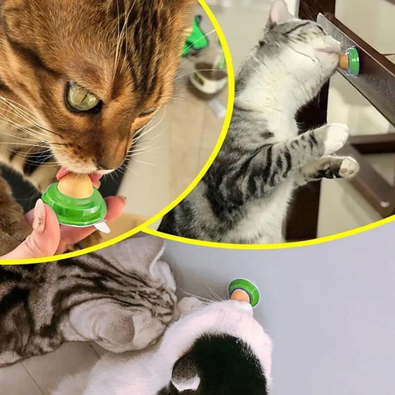 1 шт. сахарный мяч кошачьей мяты закуски для кошек сладости твердое питание