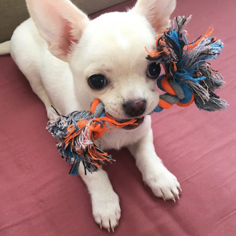 

1 Pcs Dog Bite Rope Toys Pets Dogs Supplies Pet Dog Puppy Cotton Chew Knot Toy Durable Braided Bone Rope Funny Tool Random Color
