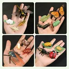 Имитация ПВХ мини фигурка жизненного цикла насекомое растение рост семян твердых соевых фигурок игрушка научные развивающие игрушки