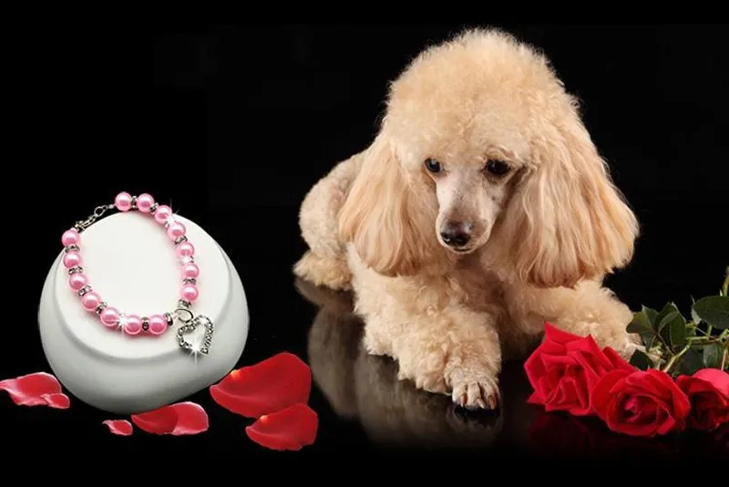 Модные ошейники для домашних животных собака щенок Кот жемчужное ожерелье