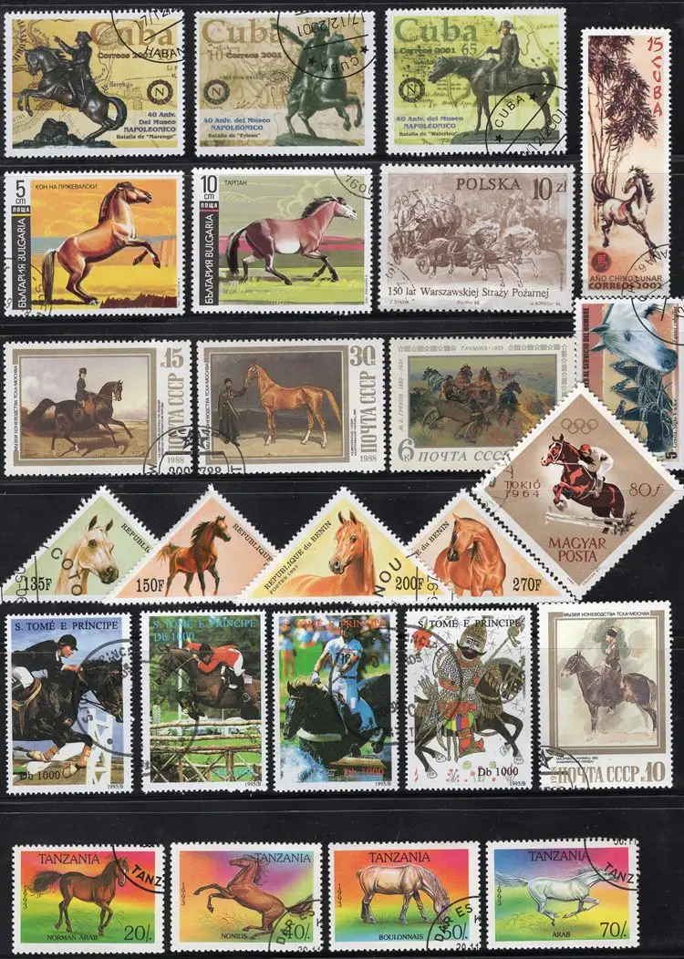 

50Pcs/Lot Horse Pony Stamp Topic All Different From Many Countries NO Repeat Postage Stamps with Post Mark for Collecting