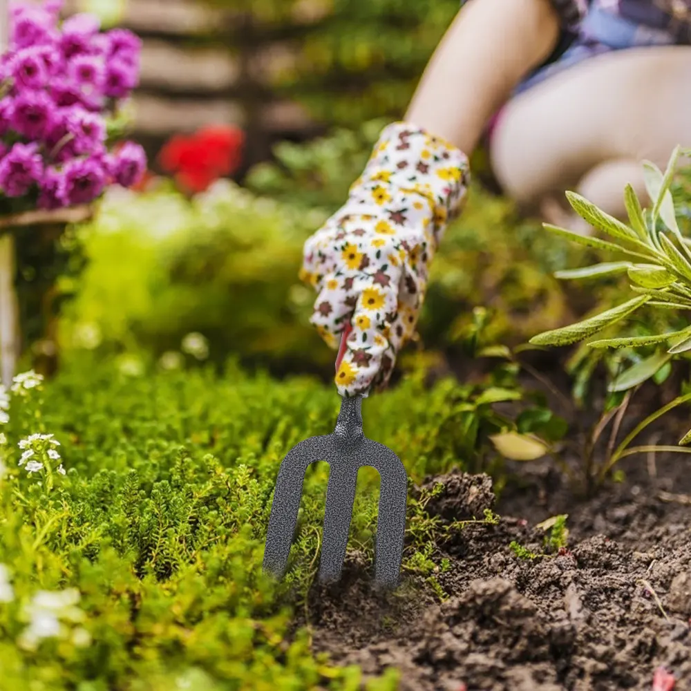 

Gardening Tool Fork Planting Small Hand Rake Weeder for Flower Vegetable Pot Plant Bonsai