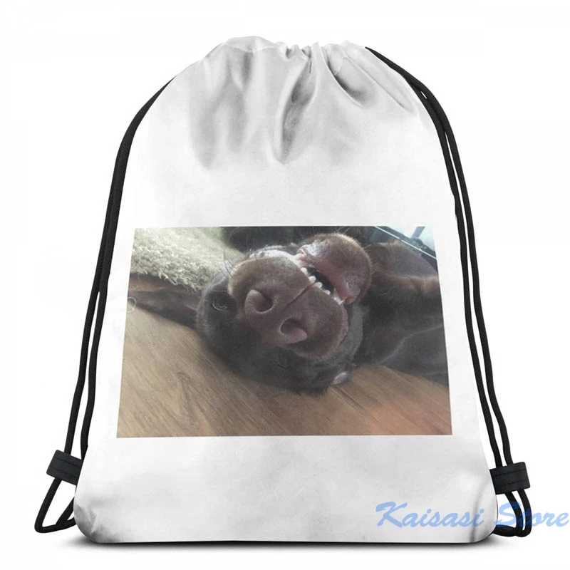 Забавный рюкзак с графическим принтом шоколада Лабрадора щенка USB-зарядка
