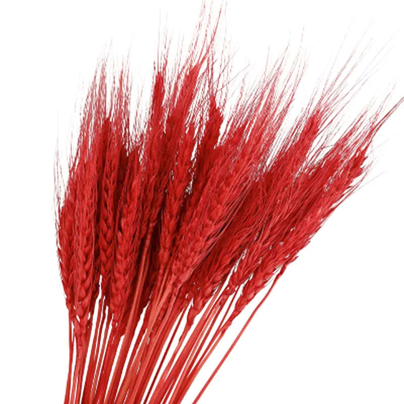 Растения Моделирование сушеные цветы Букеты украшение для дома Декор гостиной DIY