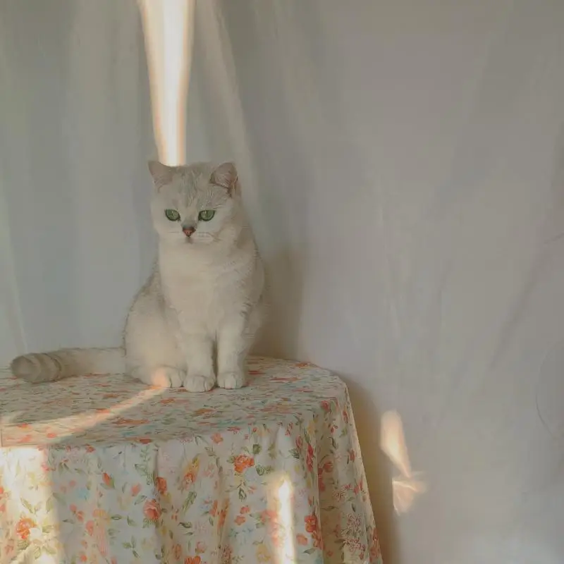 Скатерть из хлопка и льна с цветочным рисунком | Дом сад