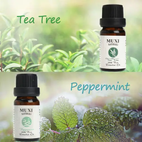 6 шт./лот чистый Ароматерапия Эфирные масла набор благовоний для воздуха диффузор