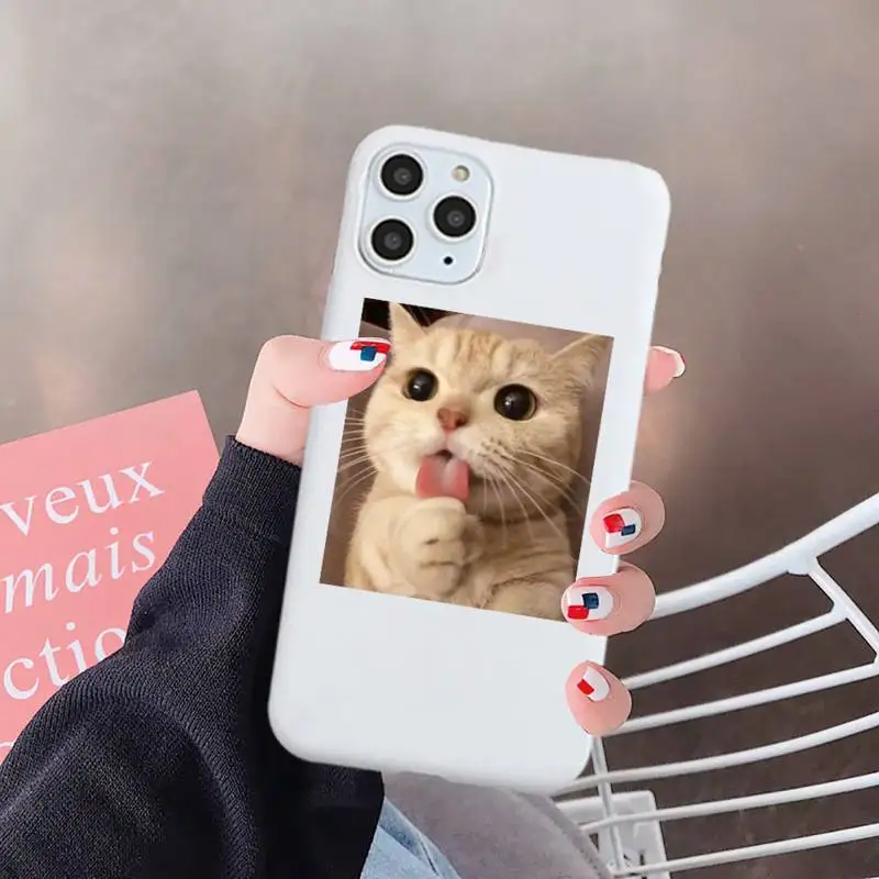 

Cute Cat Phone Case White Candy Color for iPhone 6 7 8 11 12 s mini pro X XS XR MAX Plus
