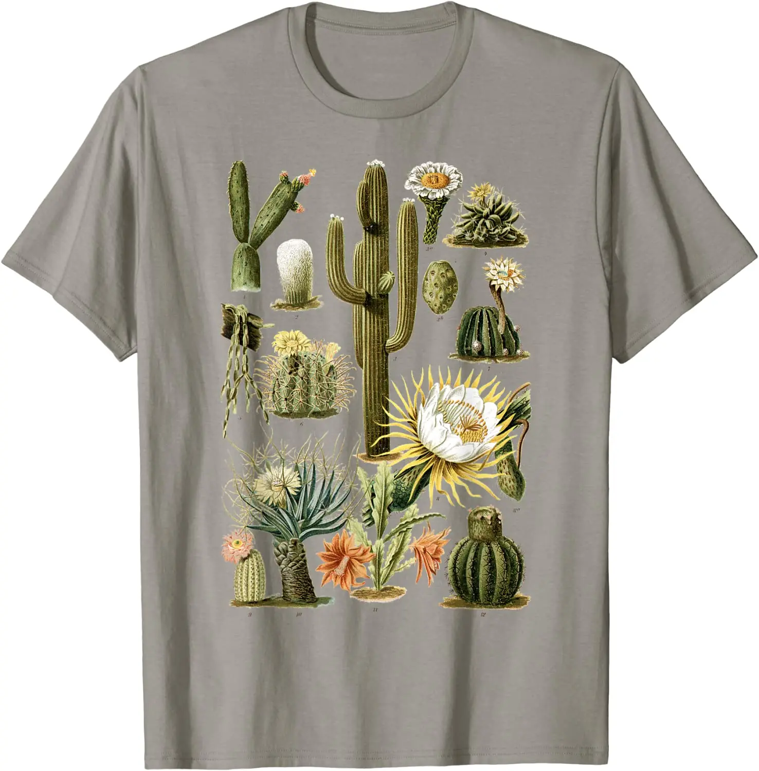 

Cactus Succulent Plant Retro Vintage Cacti Botany Botanical Men's T-Shirt