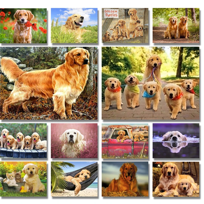 Алмазная 5d картина Золотистый ретривер мозаика из круглых страз сделай сам с