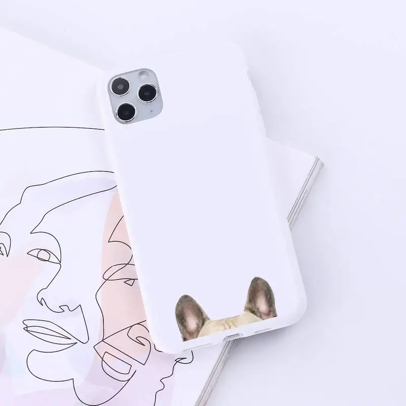 

French Bulldog cute cartoon animal Phone Case Candy Color for iPhone 6 7 8 11 12 s mini pro X XS XR MAX Plus