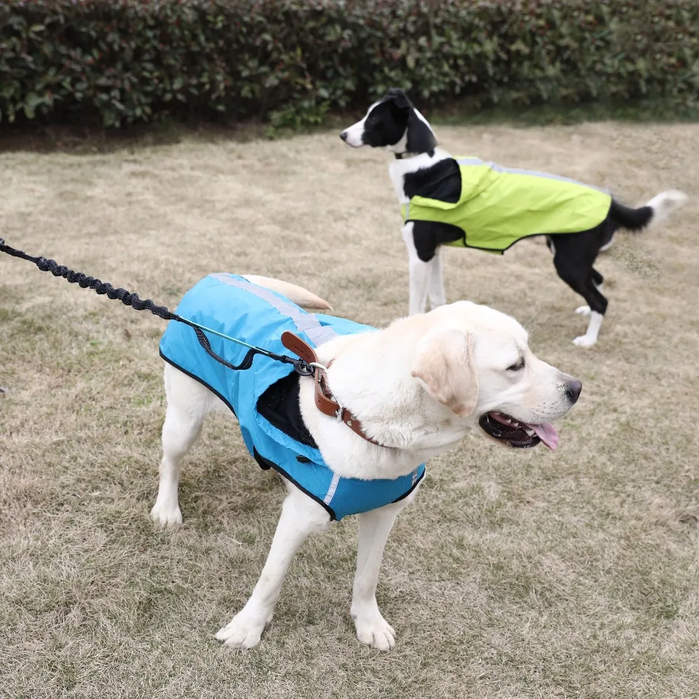 2020 комнатная собака дождевик на открытом воздухе Водонепроницаемый дышащия