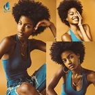 Парик DANBO из густых кудрявых волос, бразильские короткие кудрявые волосы, женский черный ежедневный парик