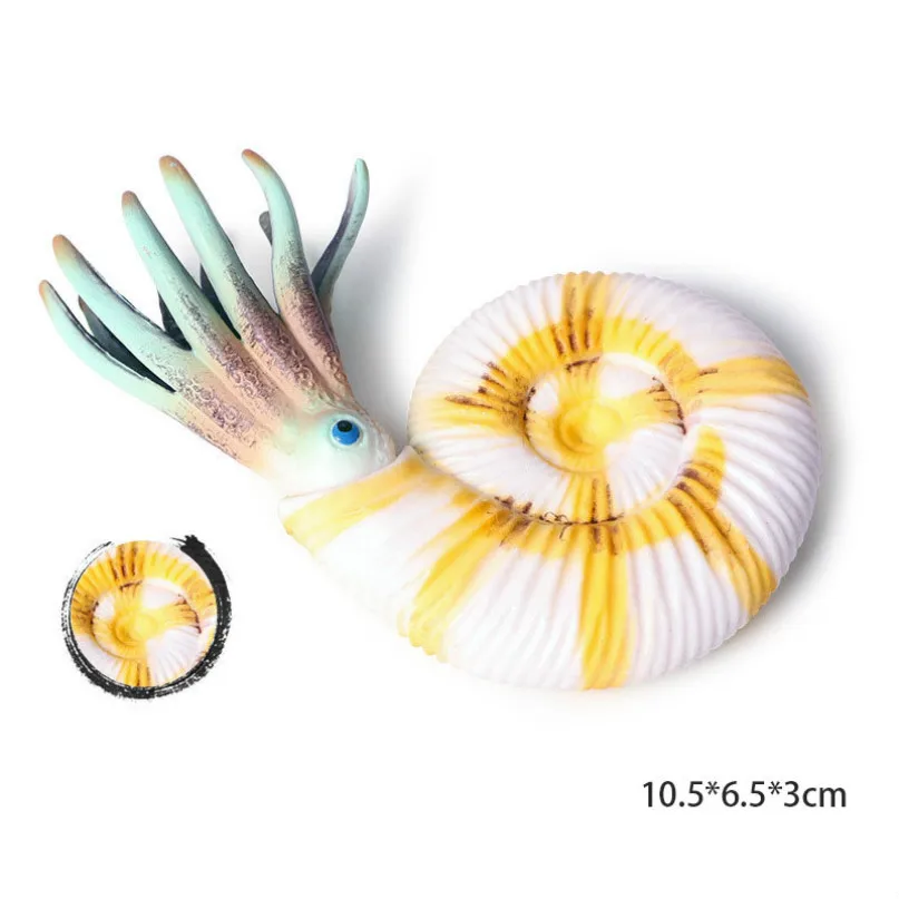 M1069 Nautilus Морская модель животного; изображение морской жизни, фигурка акулы, развивающие животные океана, игрушка для детей, Декор, подарок - Цвет: M1069 Nautilus