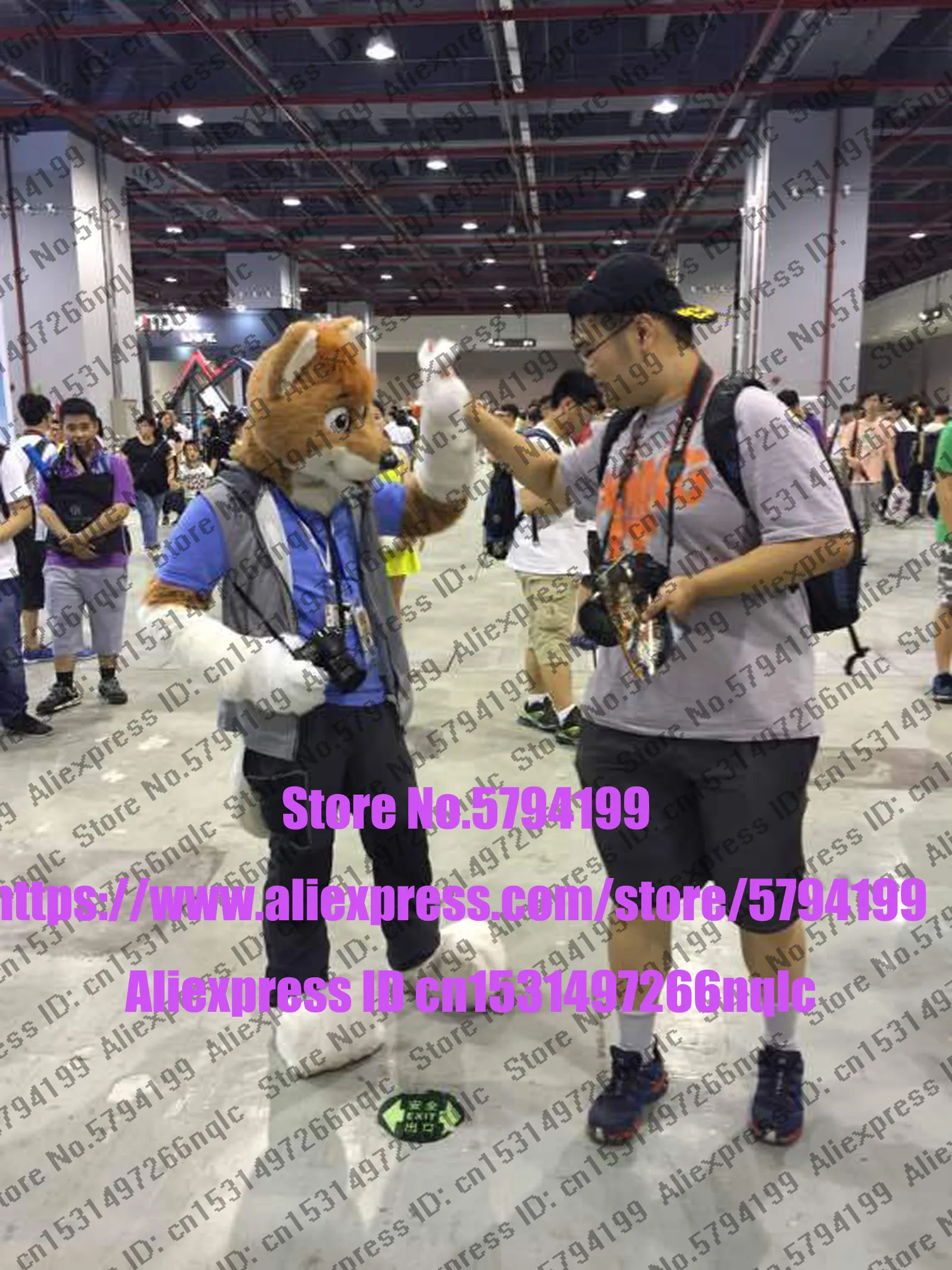 Индивидуальное реальное фото dx008 полный комплект с котом Хаски собака костюм