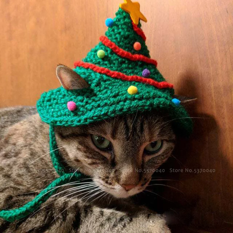Рождественская елка домашние животные кошки собаки зимние теплые шерстяные