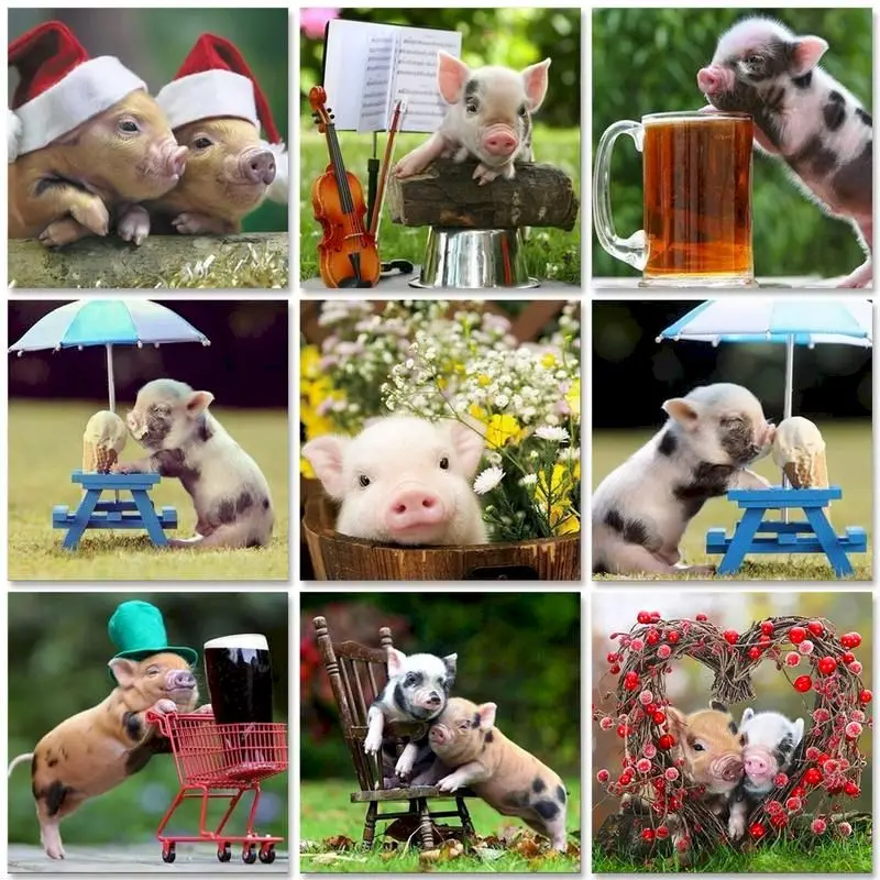 

PhotoCustom Краски по номерам Наборы на холсте милые свиней DIY рамка 60x75 см Масло Краски ing по номерам ручная Краски домашние украшения с животными